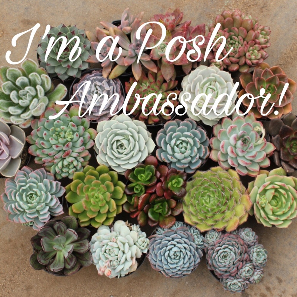 I'm a Posh Ambassador!